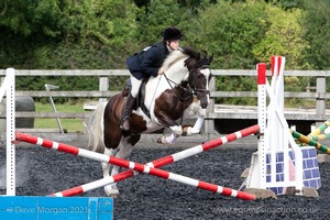 Class 3 -  Fences not above 2'3